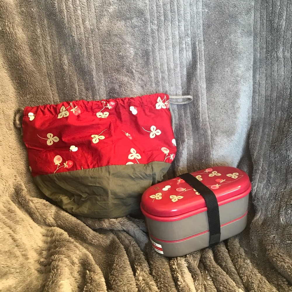 Authentic Japanese bento with soy sauce holders and carrying case - strawberries
